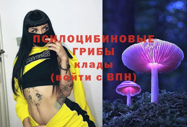 ПСИЛОЦИБИНОВЫЕ ГРИБЫ Баксан