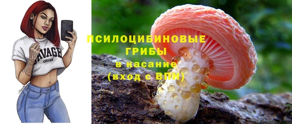 ПСИЛОЦИБИНОВЫЕ ГРИБЫ Баксан