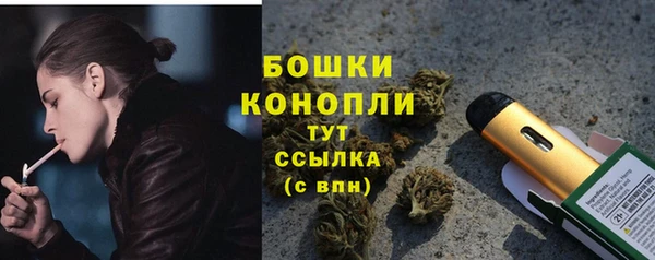 ПСИЛОЦИБИНОВЫЕ ГРИБЫ Баксан
